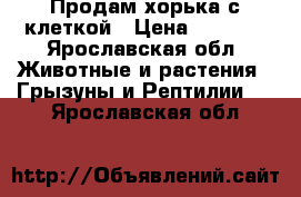 Продам хорька с клеткой › Цена ­ 3 000 - Ярославская обл. Животные и растения » Грызуны и Рептилии   . Ярославская обл.